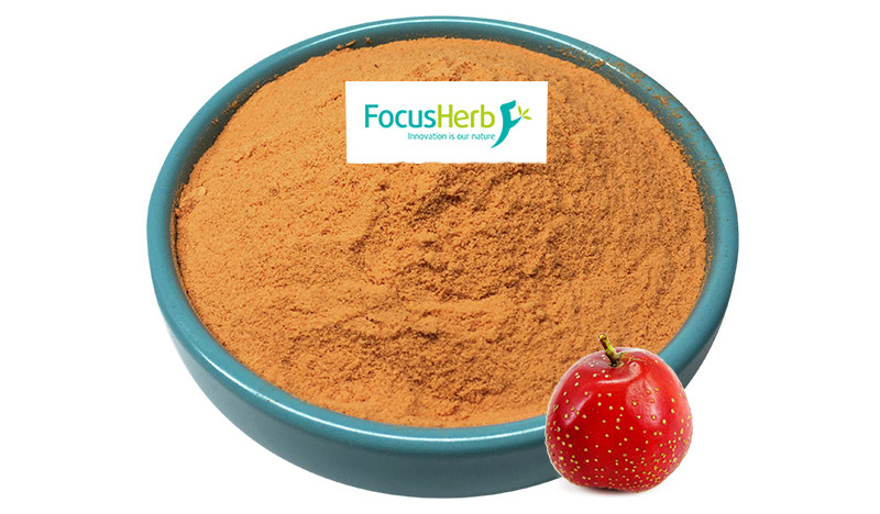 Exploring the production process