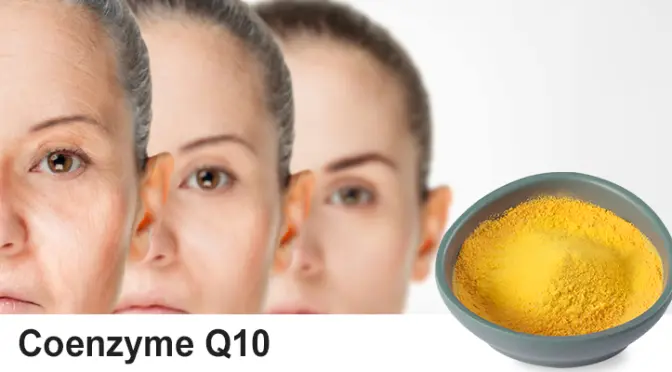 Coenzyme Q10: The Secret Code to Energy and Health