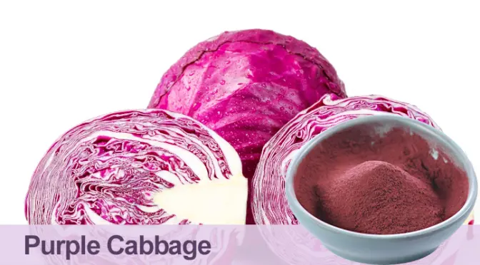 Purple Cabbage Powder：The Hidden Health Treasure in Powder