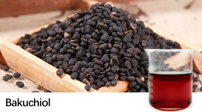Bakuchiol: From Collagen Protection to a New Paradigm for Anti-Aging