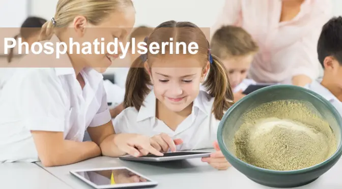 “Brain Nutrient”: How Phosphatidylserine Reshapes Cognition and Memory
