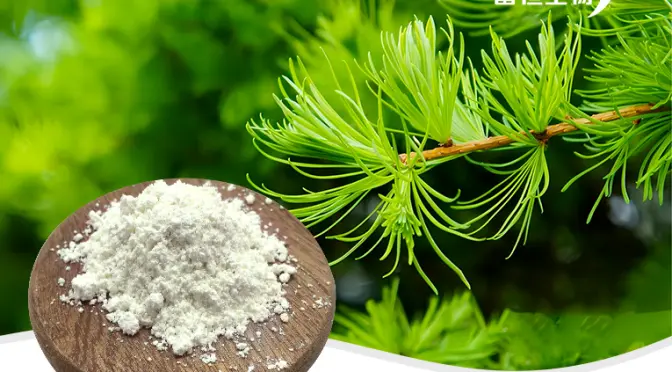 Dihydroquercetin: From natural plants to the “King of Cleansing” in life sciences