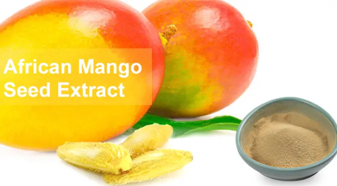 African Mango Seed Extract: A treasure of health gifted by nature