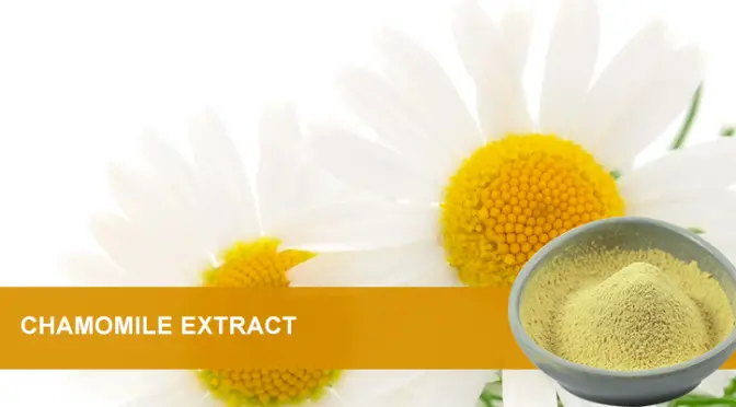 Apigenin: A natural antioxidant and anti-aging dual engine