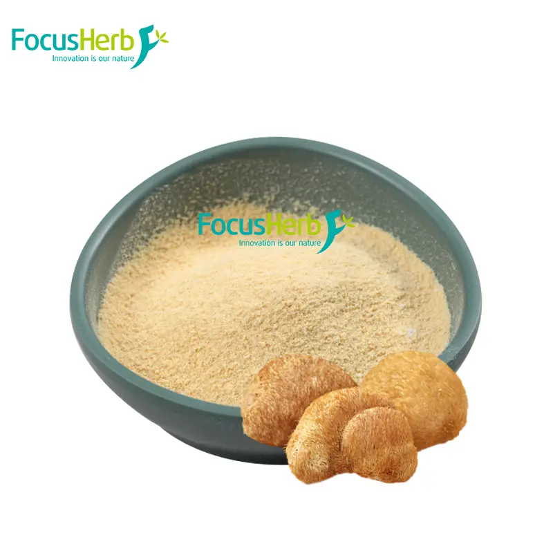 Organic Lion #39 s Mane Powder: Decoding the puzzle code of natural brain Organic Lion #39 s Mane Powder: Decoding the puzzle code of natural brain