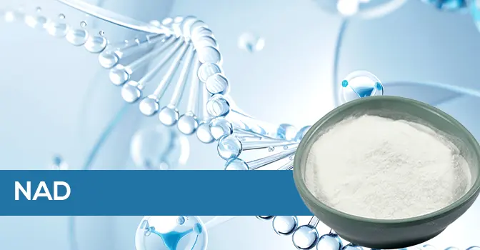 NAD: The “Code of Life” in Cells