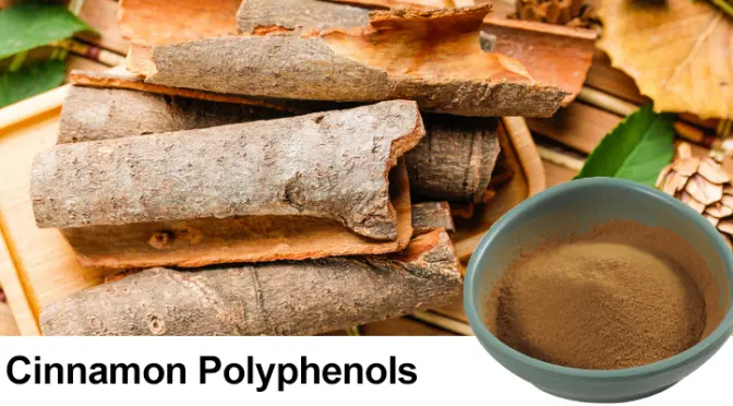 Cinnamon Extract : Big power in a small ingredient