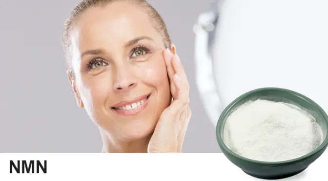 NMN: Scientific Analysis from Molecular Mechanism to Anti-Aging Practice
