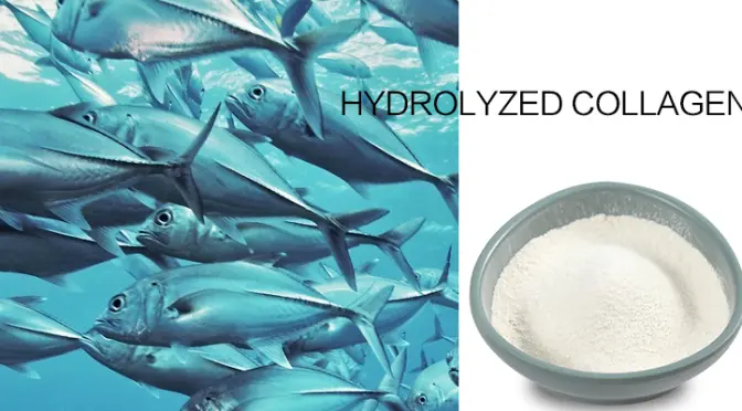 Hyaluronic Acid: The multifaceted legend of magical polysaccharides