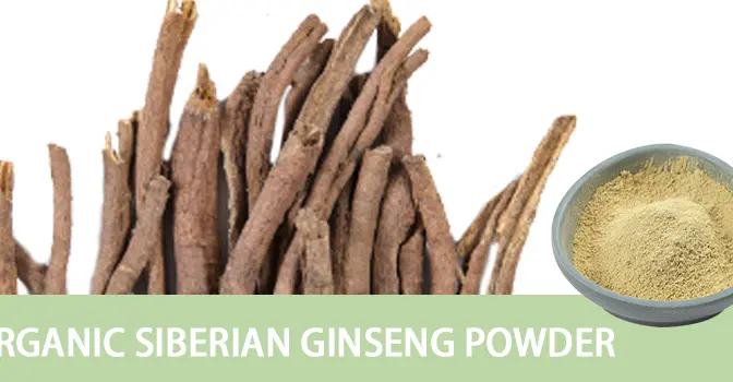 Organic Siberian Ginseng: The code for anti-fatigue and endurance enhancement empowered by natural vitality