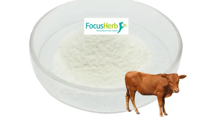 Beef bone marrow powder: The health code hidden in the powder
