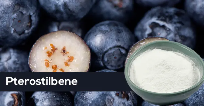 Pterostibene: Scientific decoding from natural polyphenols to the new favorite for anti-aging