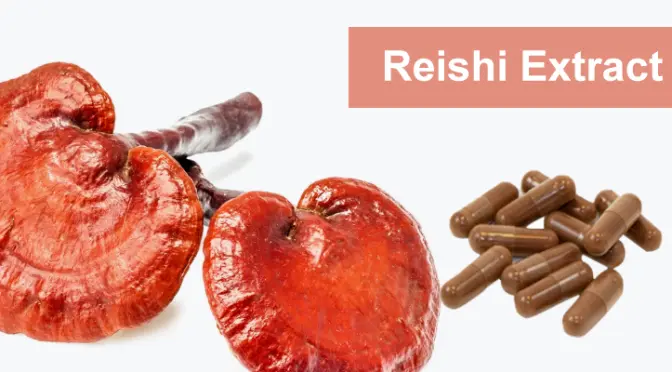 Reishi Mushroom Extract: The Big World in a Tiny Powder