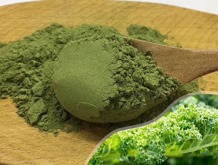 Kale powder: A high-density, nutrient-rich, all-around dietary fiber ...