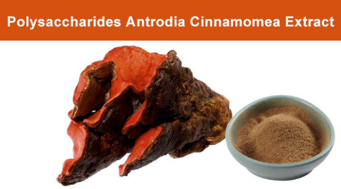 Antrodia Cinnamomea Extract：Modern Health Empowerment of Rare Lauraceae Plants