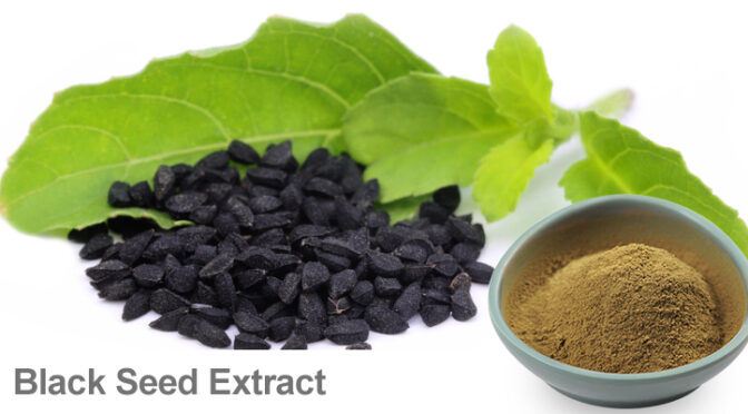 Black Seed Extract Thymoquinone: A Natural Powerhouse for Immune Support