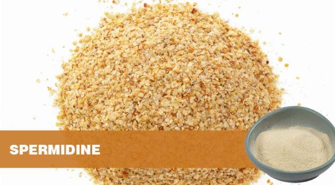 Spermidine: The Natural Compound That Supports Autophagy and Boosts Longevity