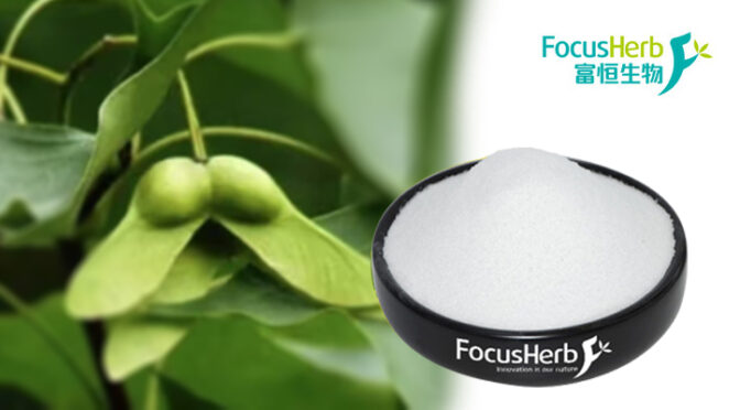 Why Nervonic Acid Should Be the Key Ingredient in Your Brain Health Formulation