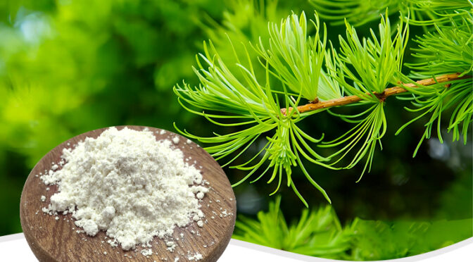 Dihydroquercetin: The Modern Health Secret of Natural Antioxidants