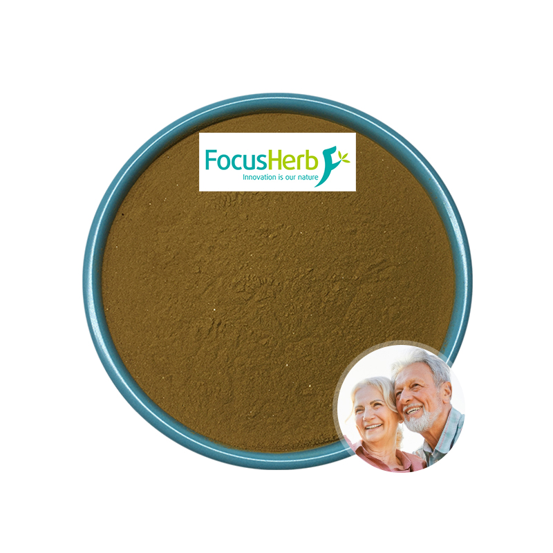 Beef Heart Powder