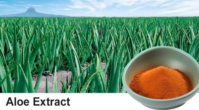 The core functions of aloe-emodin and its application prospects in functional foods