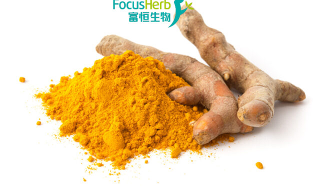 What Is Curcumin? Benefits, Bioavailability & Commercial Uses