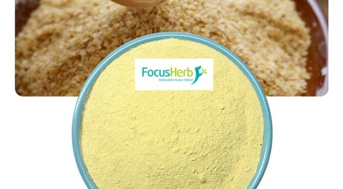 Spermidine | Longevity & Cellular Health Ingredient