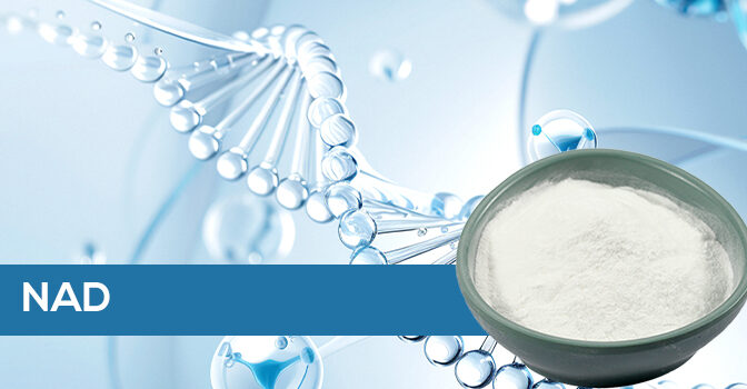 NAD⁺ Bulk Powder | Anti-Aging Ingredient for Supplements