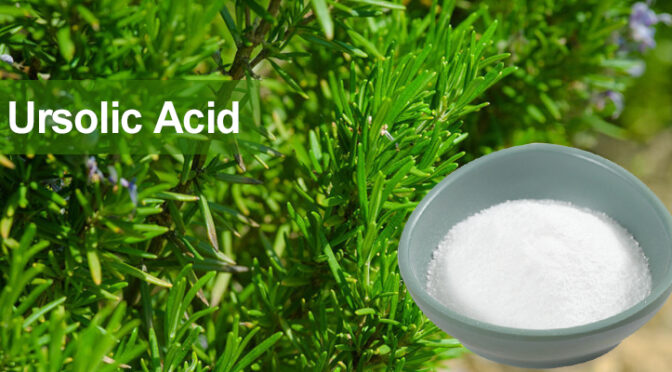 High Stability Alpha-Arbutin | Professional Cosmetic Ingredient Supplier