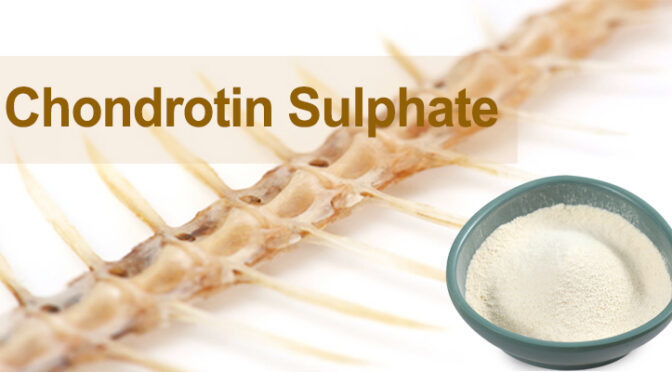 Chondroitin Sulfate Sodium | Bulk Raw Material for Supplements