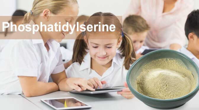 Phosphatidylserine vs DHA | Key Differences Explained