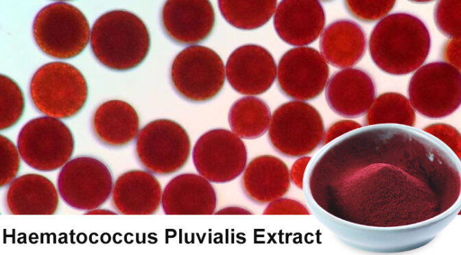 What Is Astaxanthin? A Powerful Antioxidant for Nutraceutical & Cosmetic Use