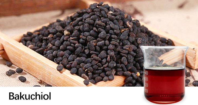 Bakuchiol Powder | Plant-Based Anti-Aging Ingredient