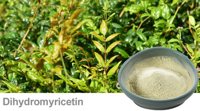 What Is Dihydromyricetin (DMY)? Functions, Sources & Applications