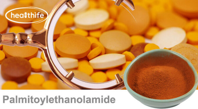 PQQ vs CoQ10 – Key Differences for Mitochondrial Health