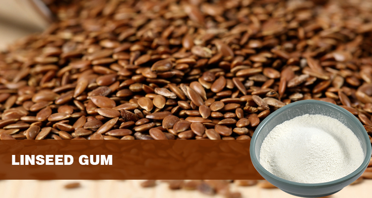 Flaxseed Gum | Natural Dietary Fiber Ingredient