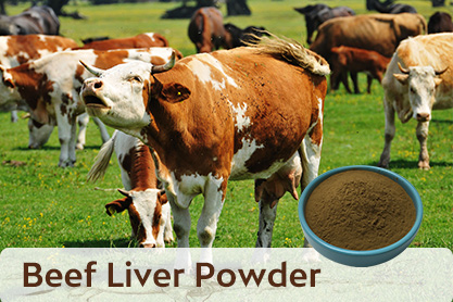 Hormone-Free, Antibiotic-Free Beef Liver Powder for Supplements