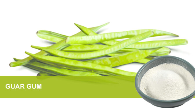 PHGG Prebiotic Fiber | High Purity Raw Material for Supplements