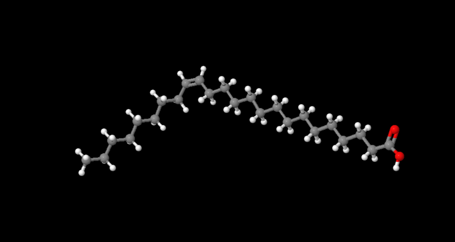 Nervonic Acid molecular structure (C24H46O2), skeletal formula of long-chain fatty acid