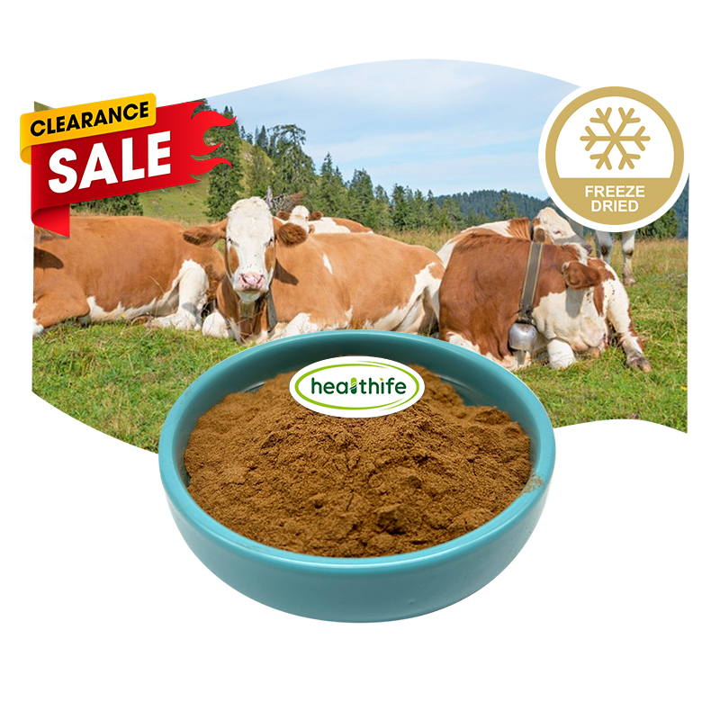 FocusHerb Beef Kidney Powder