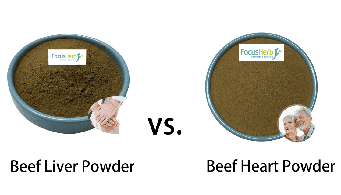 GMP factory bulk wholesale beef liver powder and beef heart powder raw material comparison