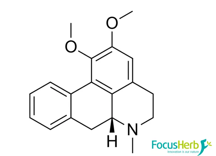 Nuciferine molecular structure diagram lotus leaf extract active ingredient
