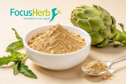 Artichoke Extract