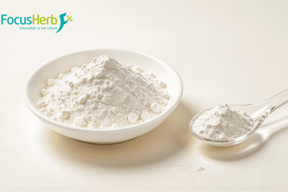 Undenatured Collagen Type Ⅱ