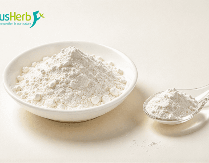 Undenatured Collagen Type Ⅱ